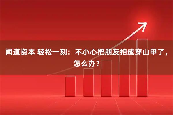闻道资本 轻松一刻：不小心把朋友拍成穿山甲了，怎么办？